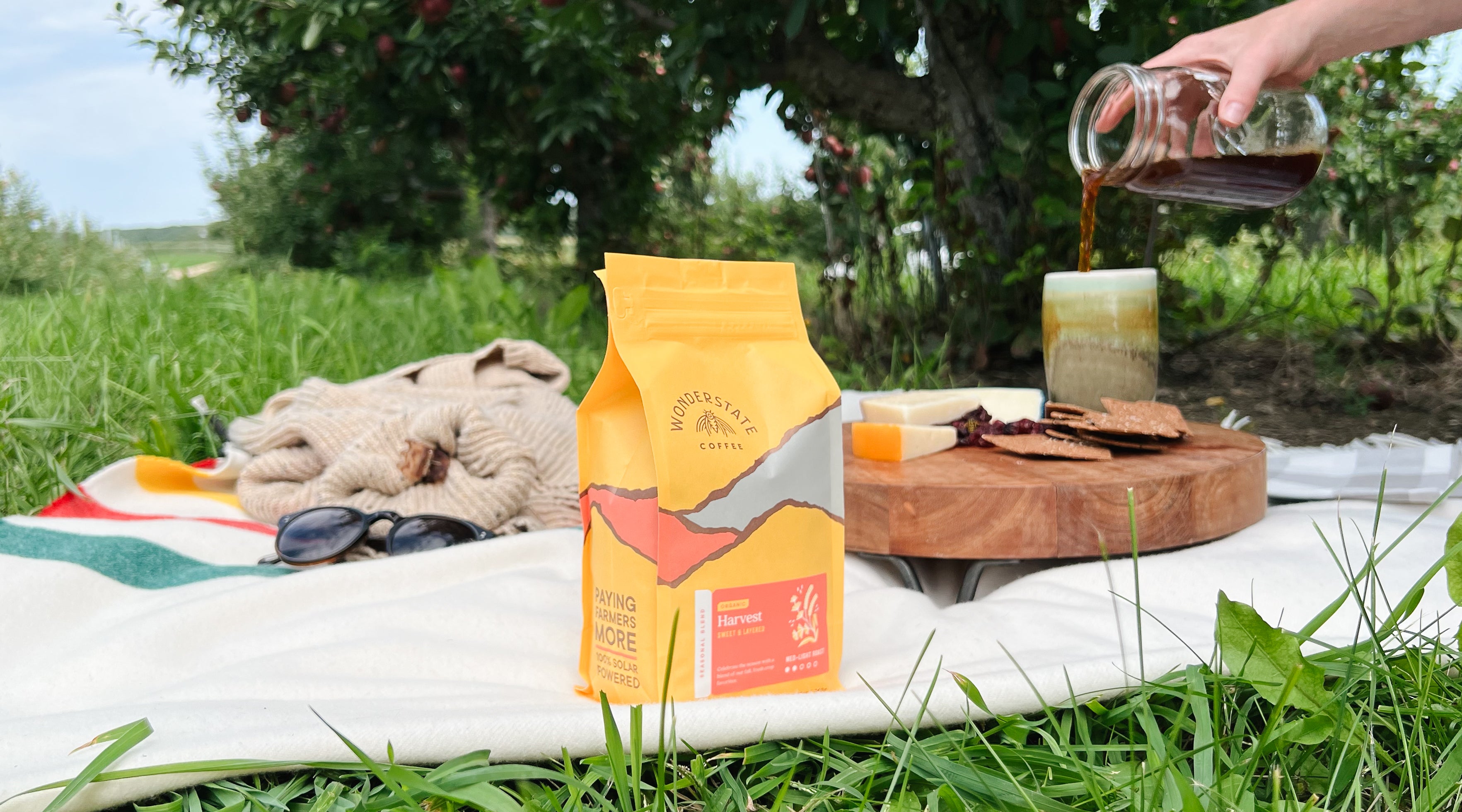 This Year's Harvest: Our Favorite Ways to Brew