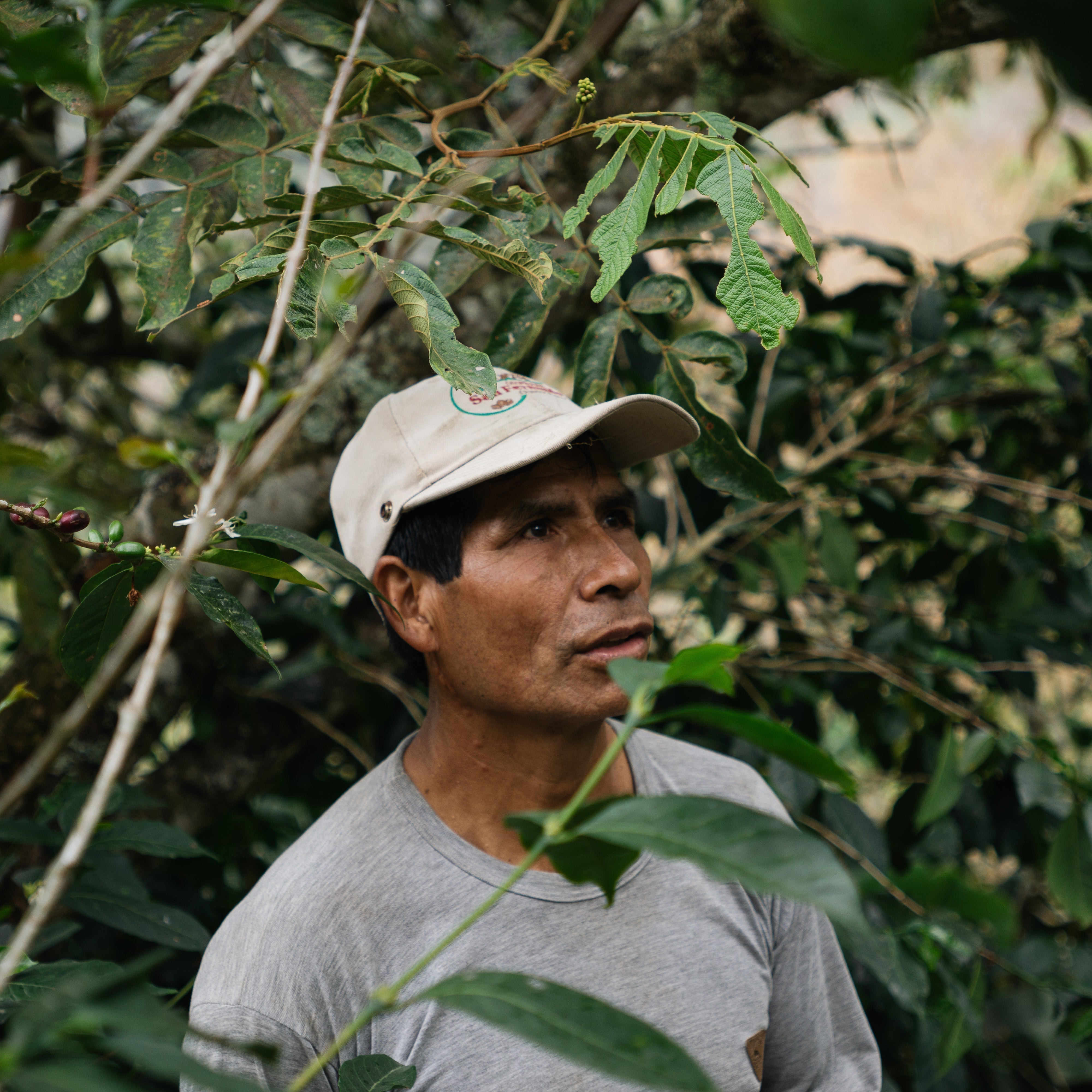 Coffee Pricing and Economic Injustice: Why Fair Pay for Farmers Still Matters in 2026