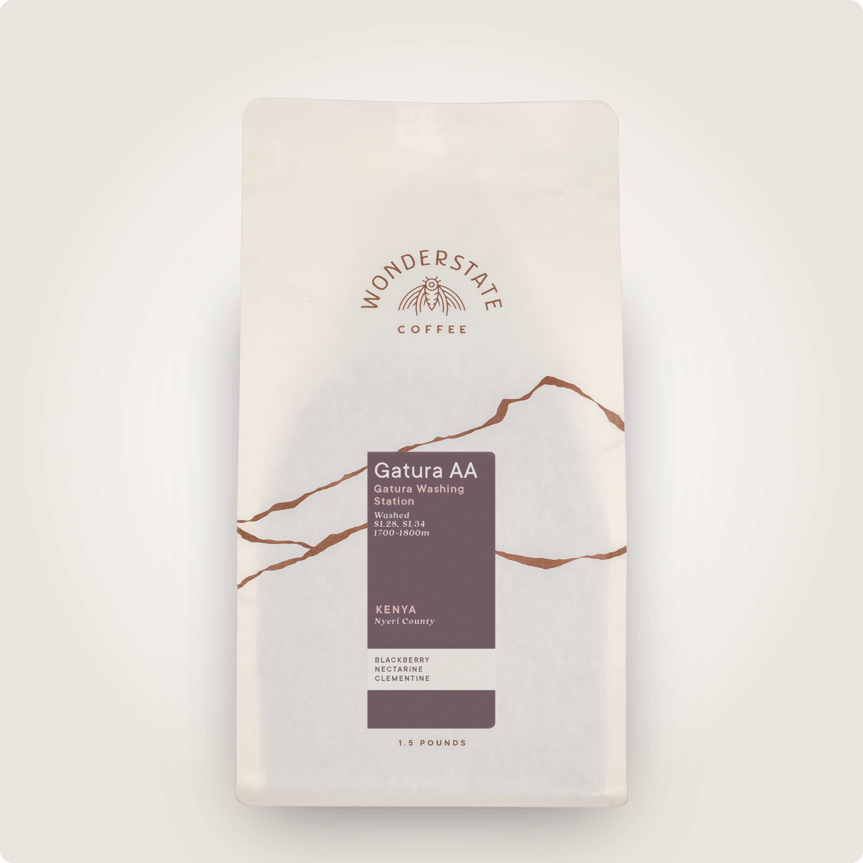 Kenya Gatura AA