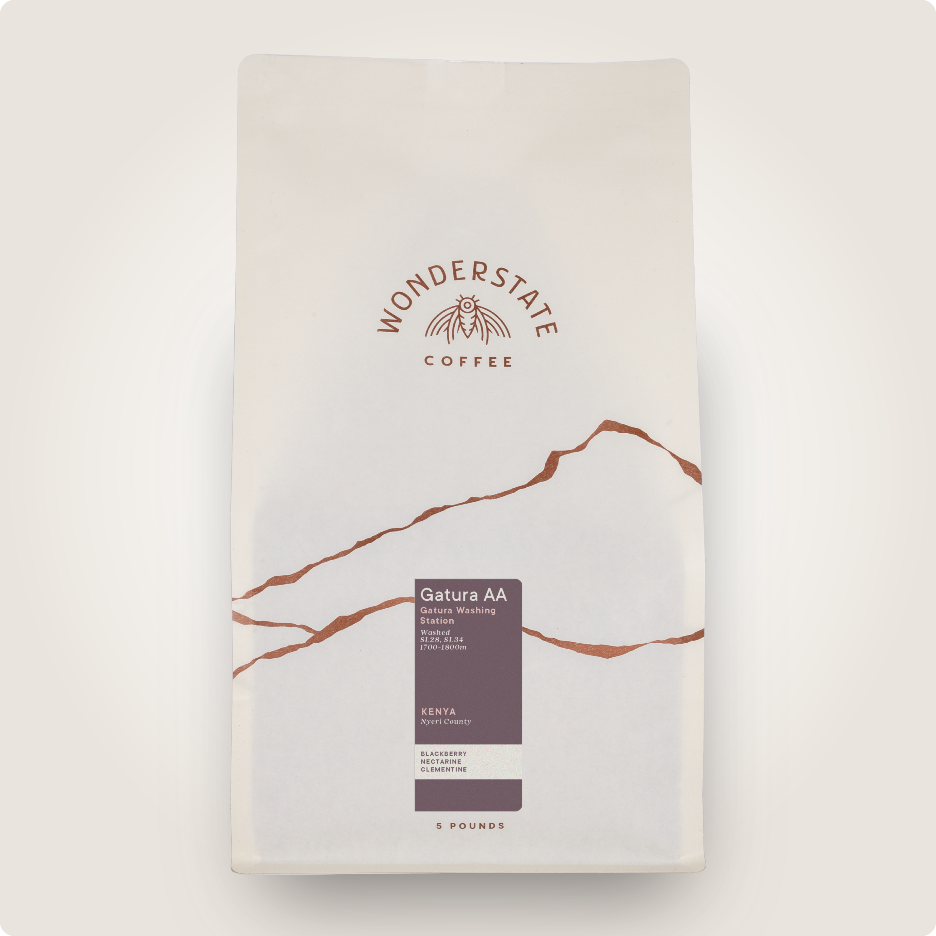 Kenya Gatura AA