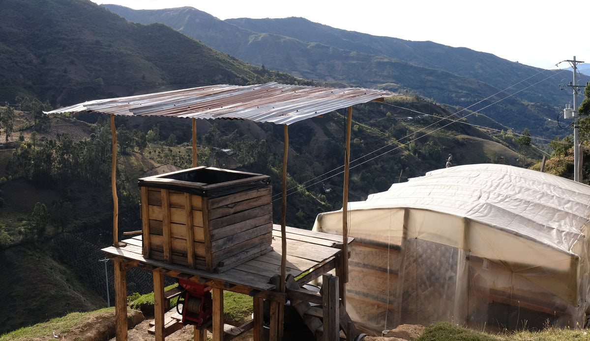 A small depulper and covered drying beds sit in the foreground with a rolling hilly landscape in the background.
