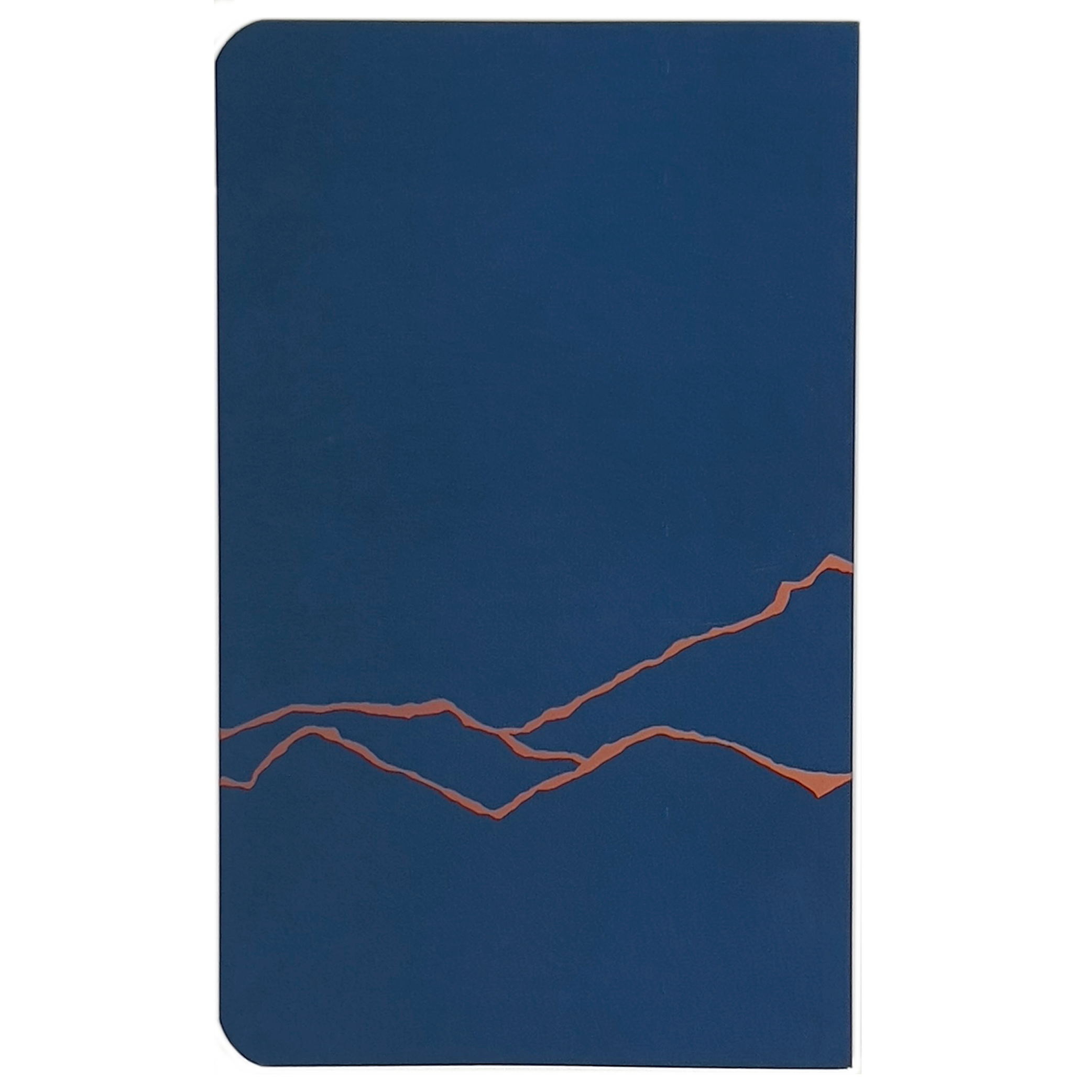 back of field ledger with crack design