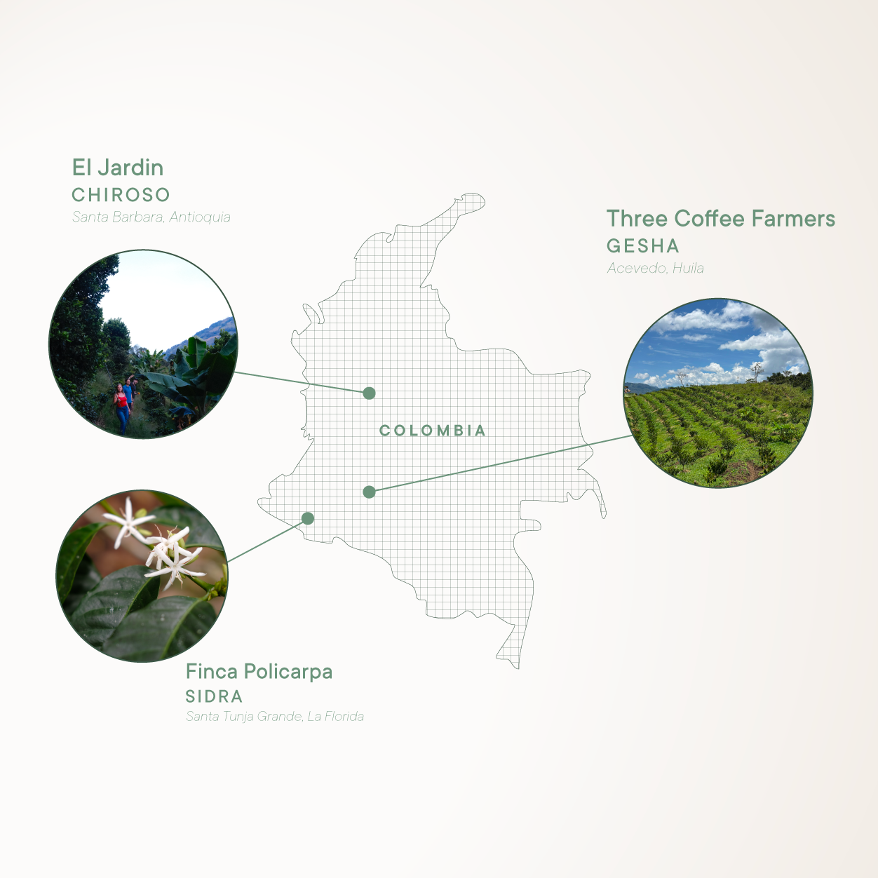 Colombia Process & Varietal Tasting Experience