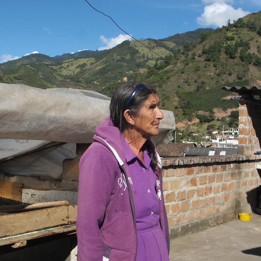 New Release: Colombia La Piedra Honey Process