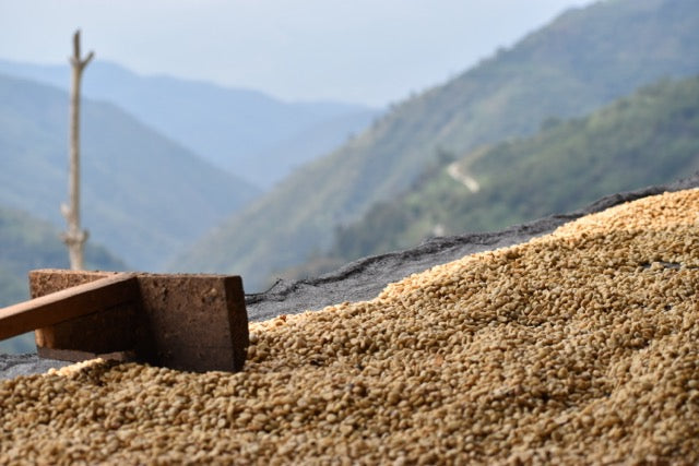 Rethinking Climate Action: From Emissions Accountability to Climate Justice