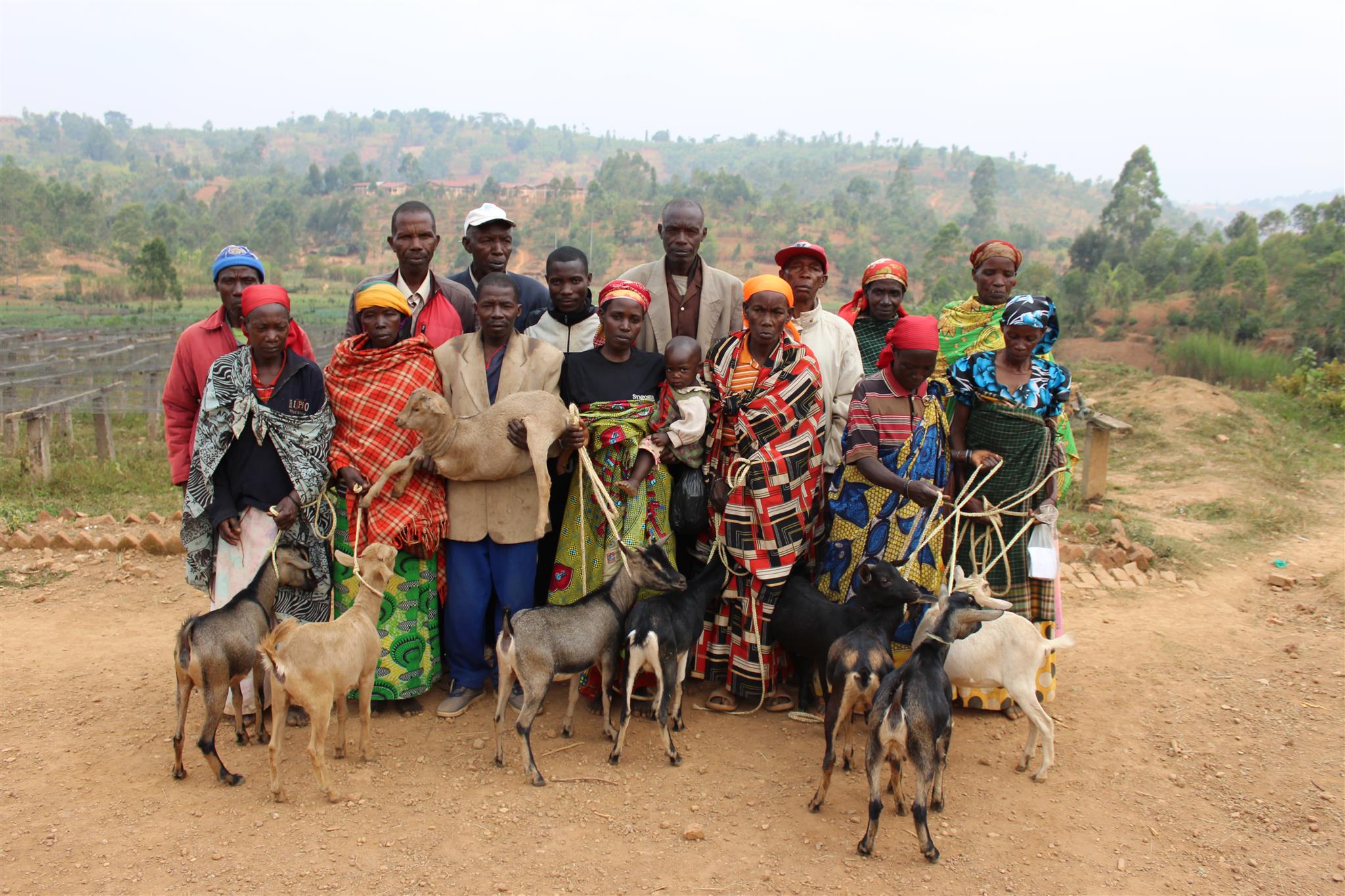 Burundi Nemba - This Coffee Buys Goats