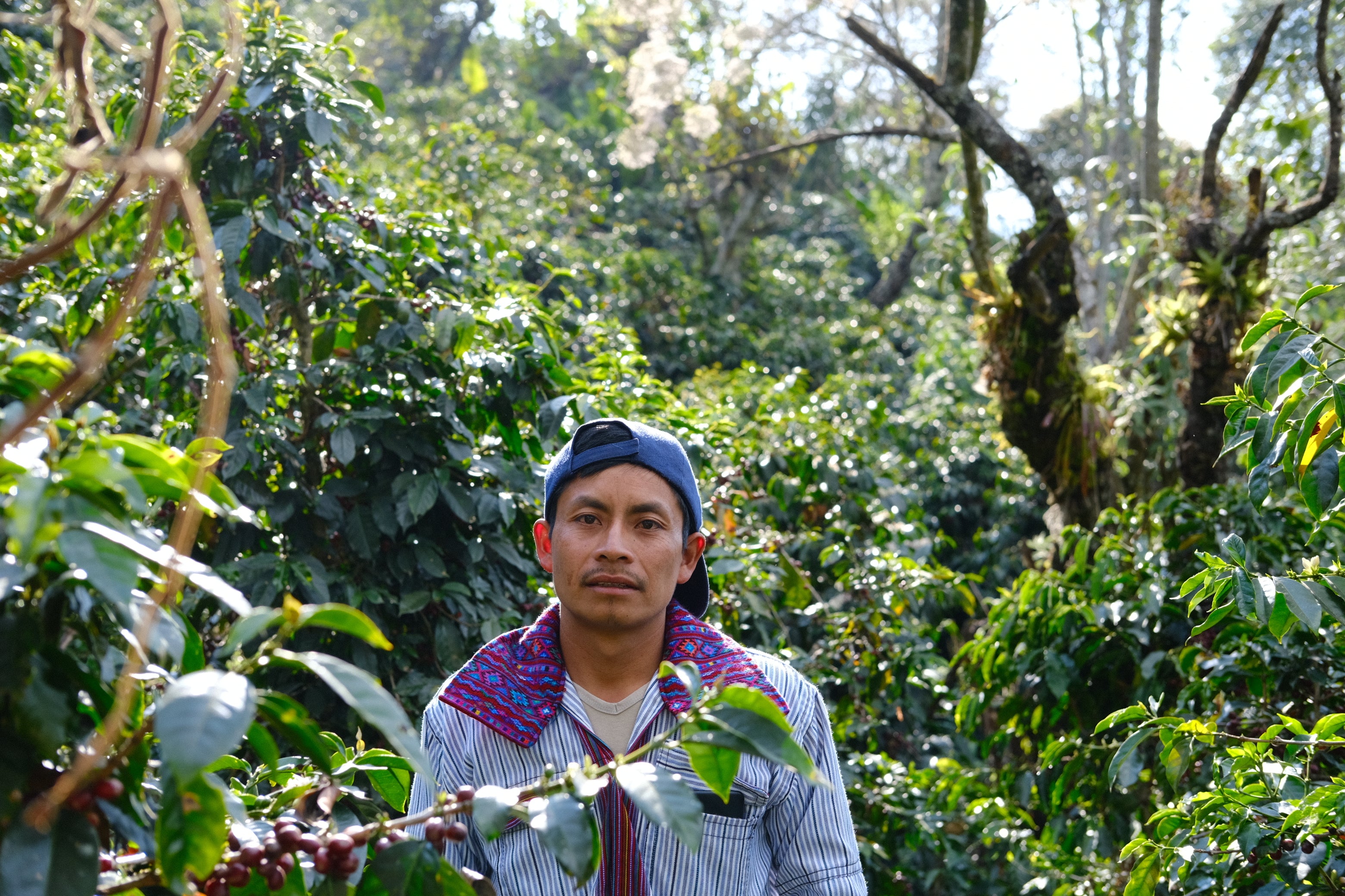 Porfirio Valesquez at his farm