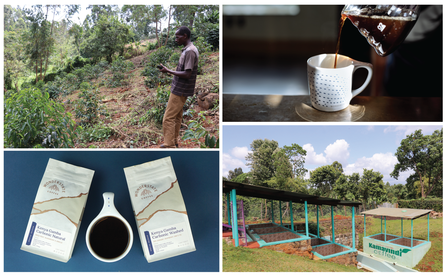 Kenya Limited Release Recipes