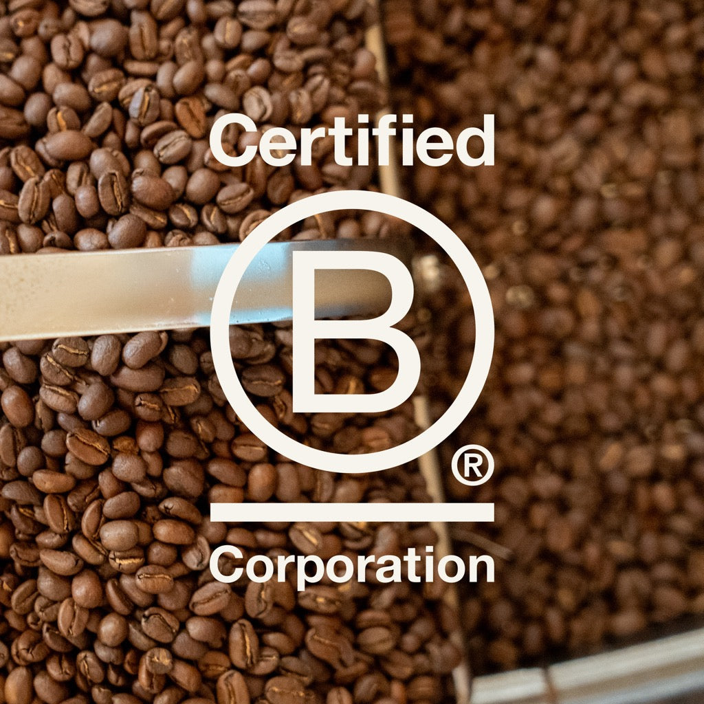 Coffee in Service to our Collective Future
