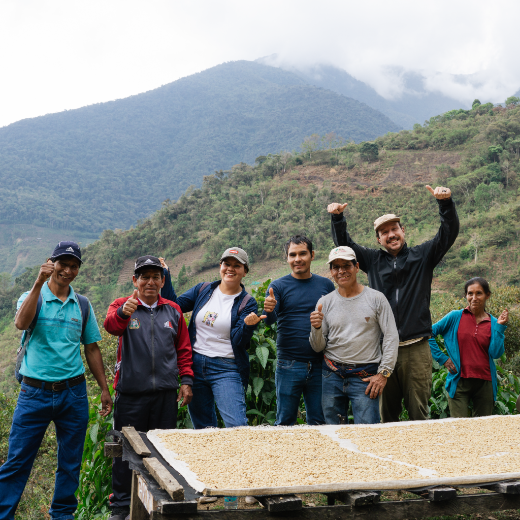 a group of people stand behind a drying bed with coffee in front of a misty mountain landscape