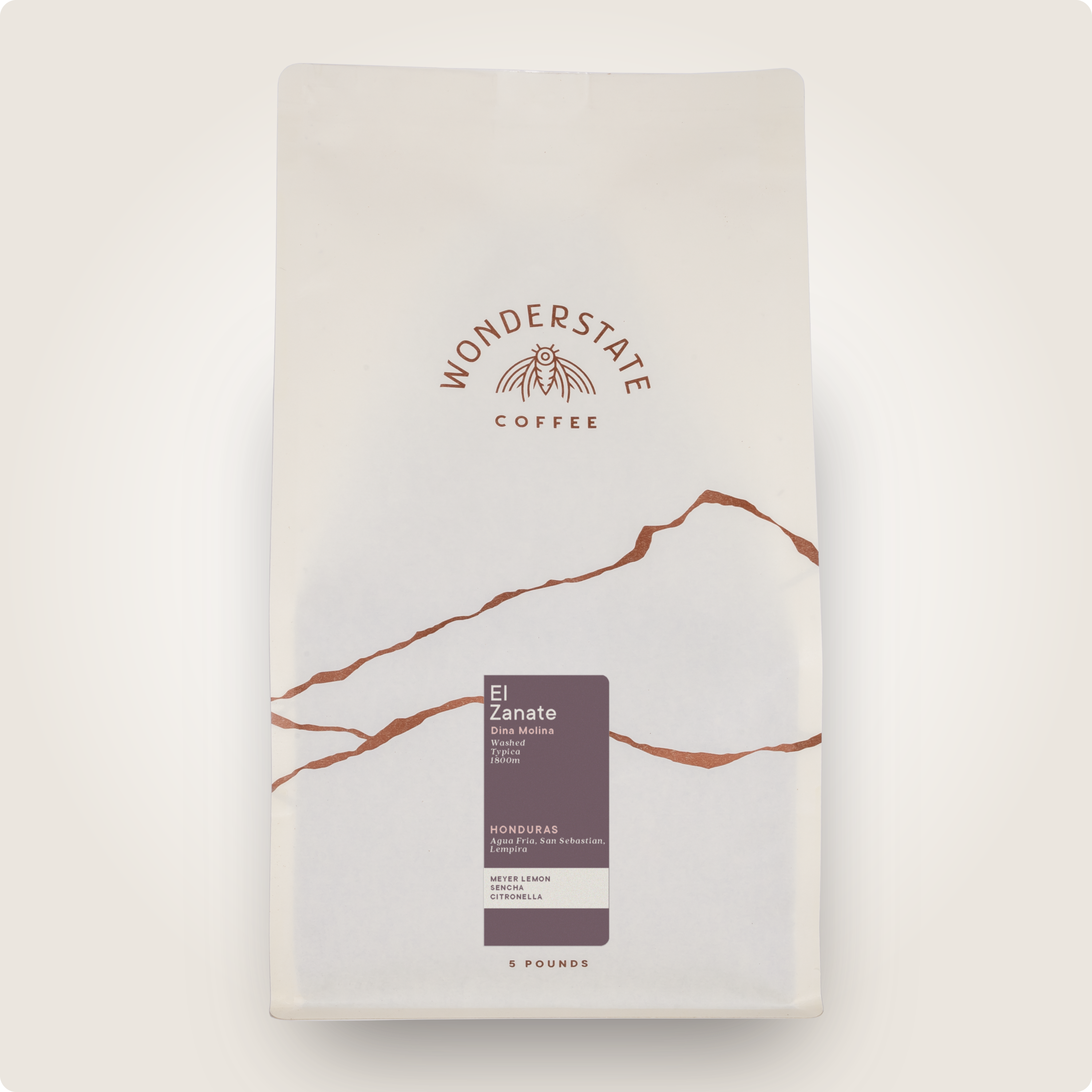 Honduras El Zanate Typica | Sustainably Sourced Coffee