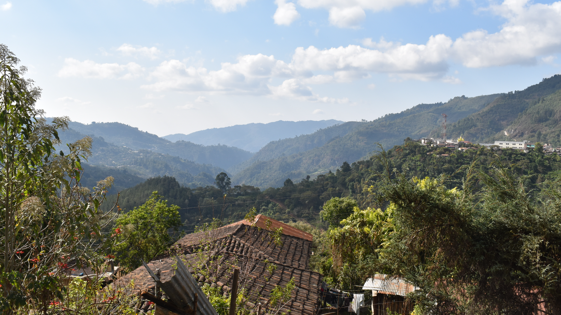 Scenic view of a village with houses nestled among coffee trees under a blue sky.