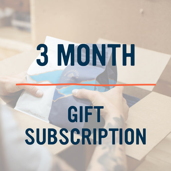 3 Month Gift Subscription